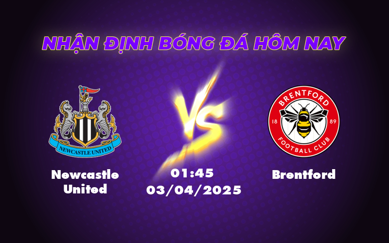 Nhận định Newcastle United vs Brentford Lợi thế sân nhà sẽ giúp Chích chòe tiếp tục thăng hoa 1 newcastle united brentford 03 04 ngoai hang anh