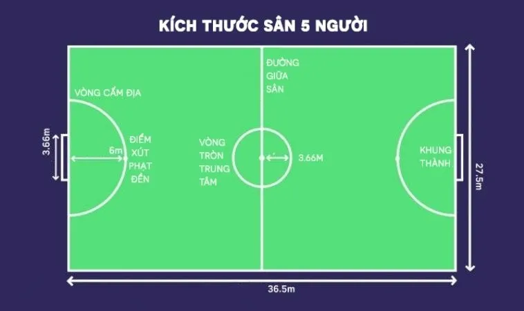 Tiêu Chuẩn Sân Bóng Đá 5 Người: Kích Thước Và Đặc Điểm 2 Tiêu chuẩn sân bóng đá 5 người